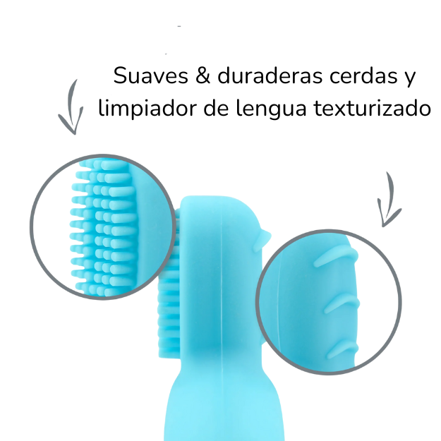 Cepillo de diente de aprendizaje Celeste Green Sprouts (+6m)