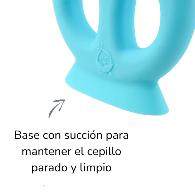 Cepillo de diente de aprendizaje Verde Green Sprouts (+6m)