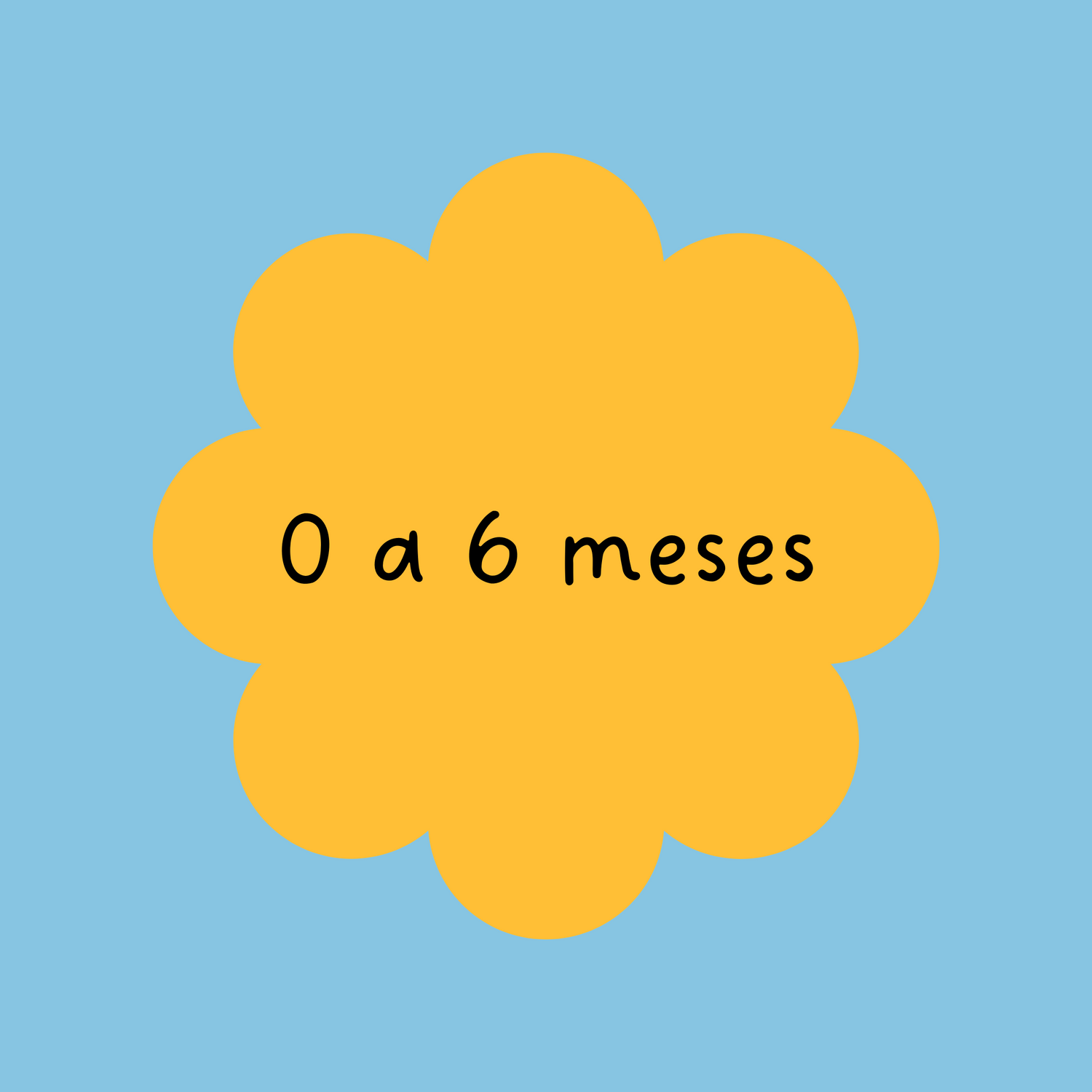 0 a 6 Meses