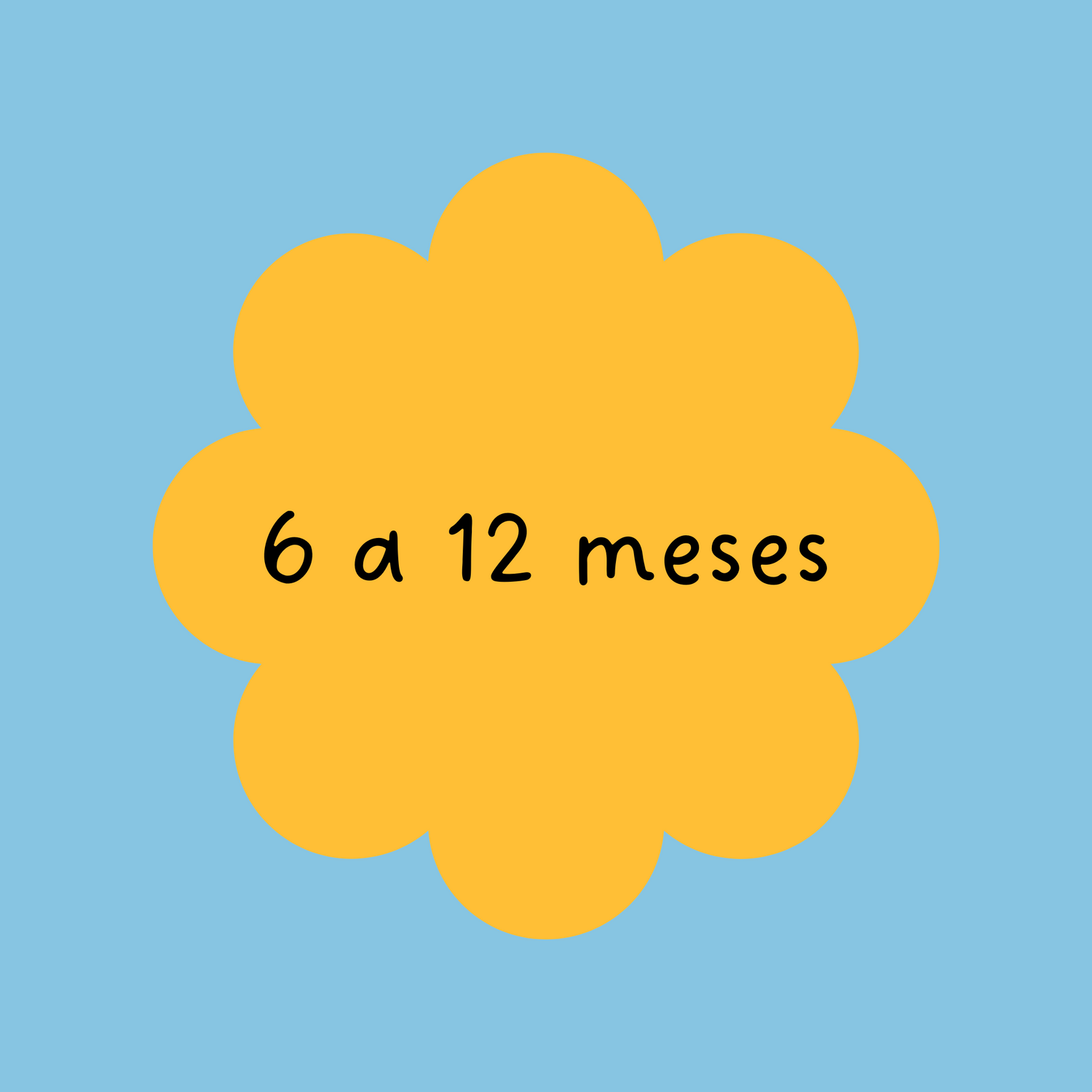 6 a 12 meses