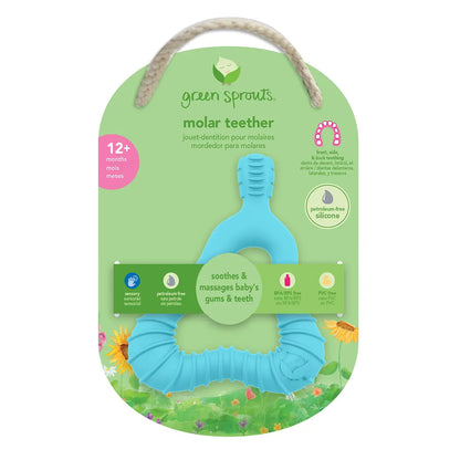 Mordedor para Molares de Silicona Celeste Green Sprouts (+12m)