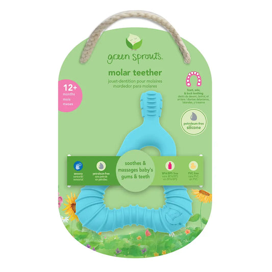 Mordedor para Molares de Silicona Celeste Green Sprouts (+12m)